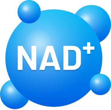 NAD+